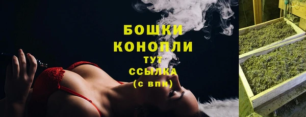 дживик Бронницы