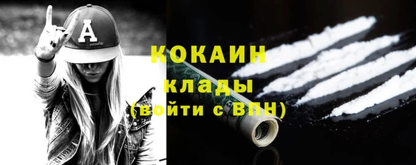 хмурый Бородино