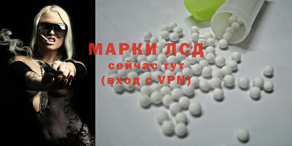 хмурый Бородино
