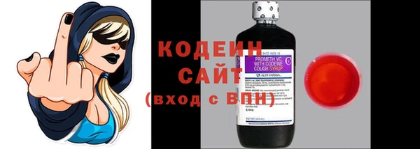 хмурый Бородино