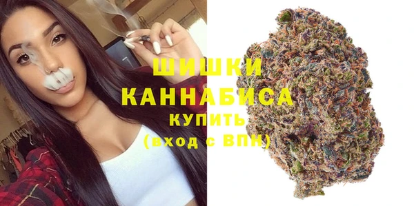 дживик Бронницы