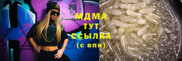 хмурый Бородино