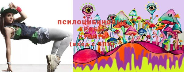 хмурый Бородино